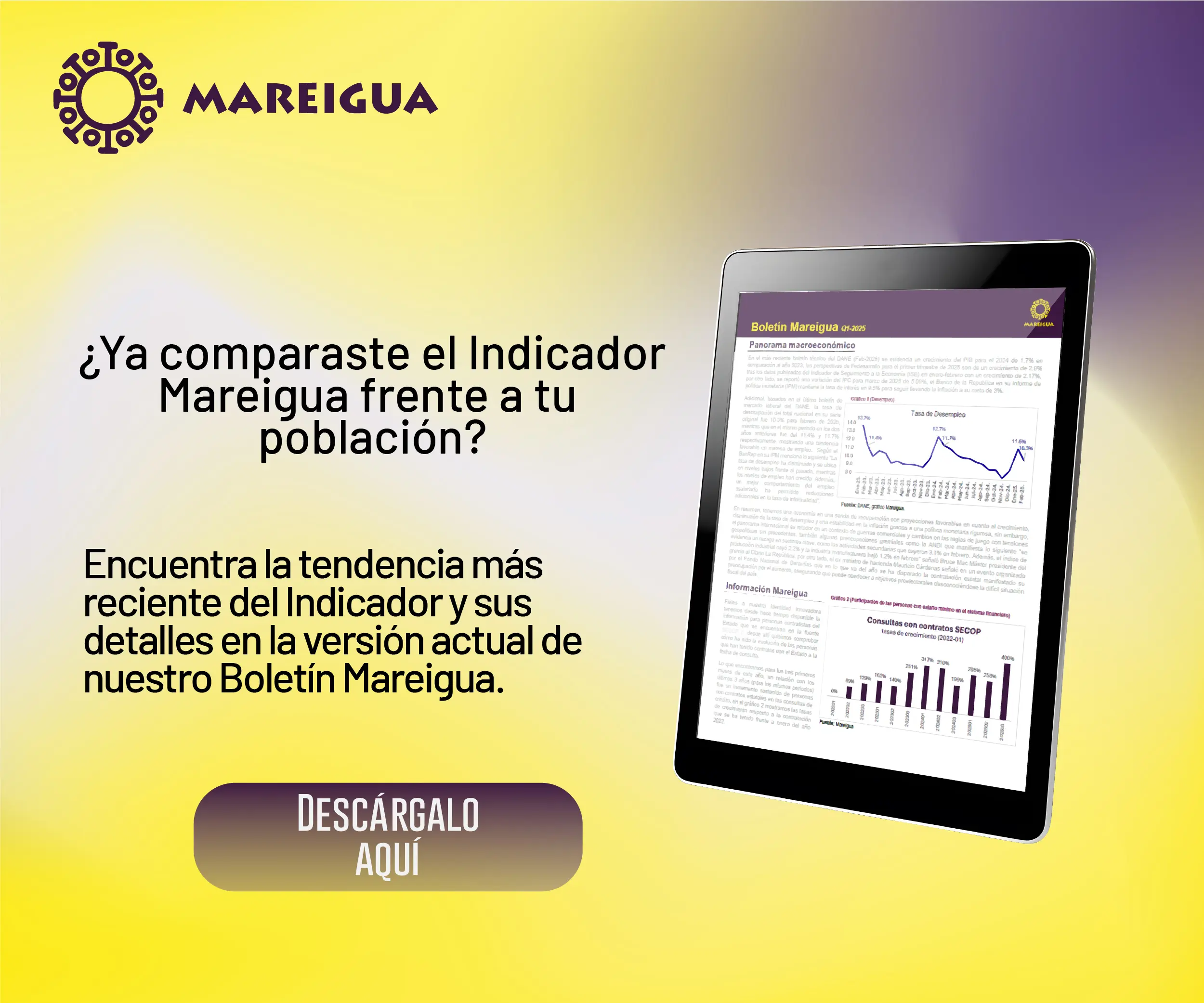 Boletin Web